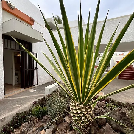 Primavera Appartement *