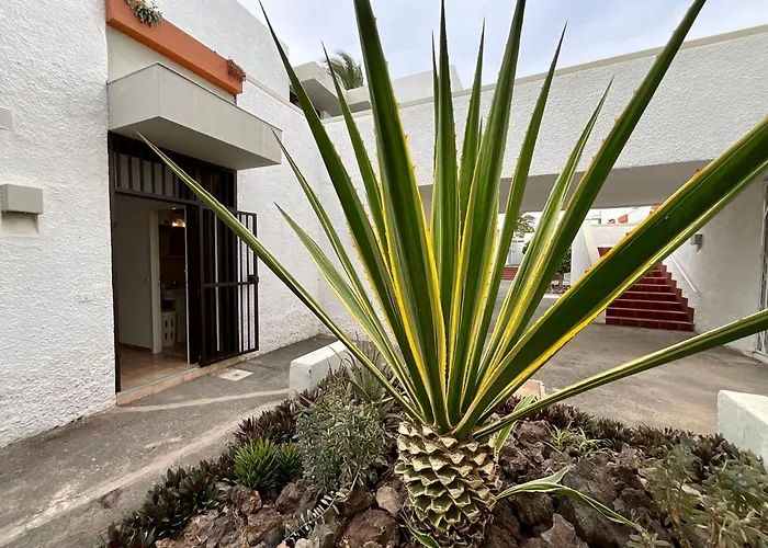 Primavera Appartement *