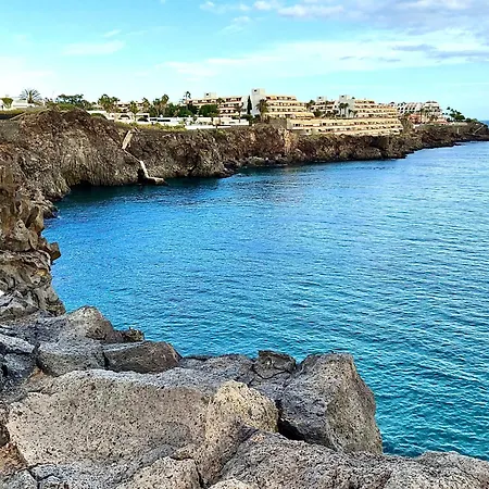 Primavera طوستا ديل سيلونثيو